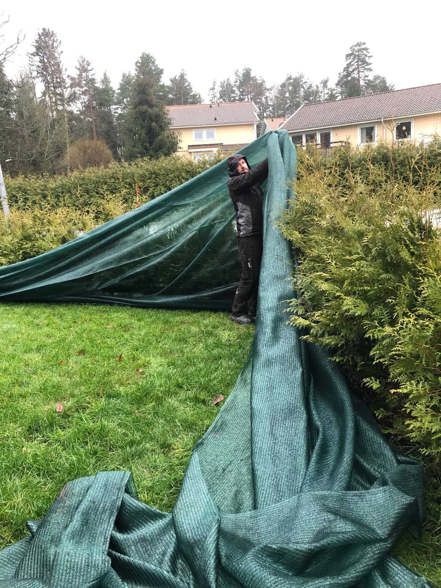 Vår montör drar skuggväven över en nyplanterad thujahäck